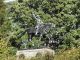 Equestrian Statue - Henry Warn