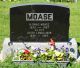 Herbert Davis MOASE