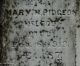 Marker - James Pidgeon back