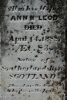 Marker - James Pidgeon right