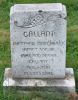 Matthew Marchbank GALLANT