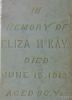Marker - Nancy McKay right
