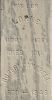 Marker - William Campbell (183